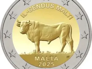 2025 - Malte - Le bœuf maltais